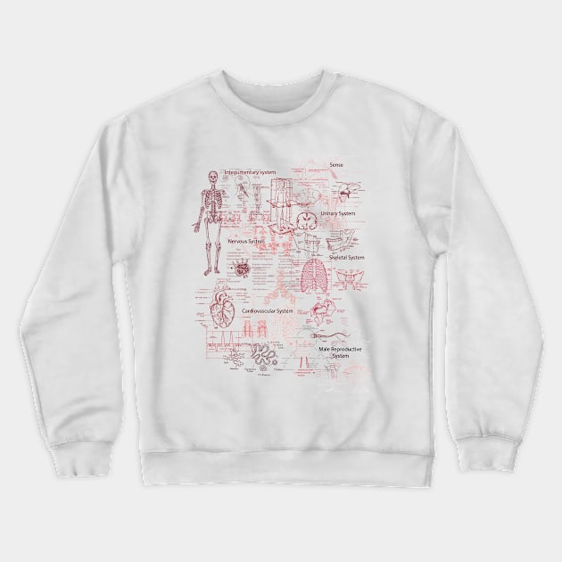 Biology illustrations Crewneck Sweatshirt by Color D heaven